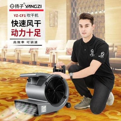 扬子大功率吹地鼓风机